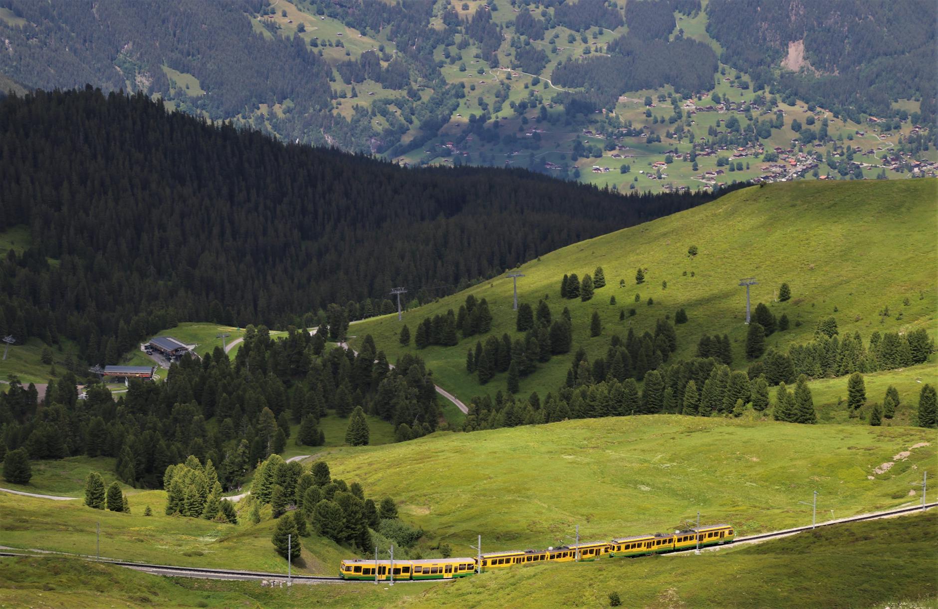 Letni pociąg panoramiczny jedzie przez zielone Alpy Szwajcarii